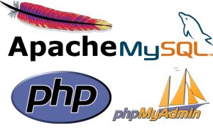 Belajar Pemrograman Web PHP untuk Pemula